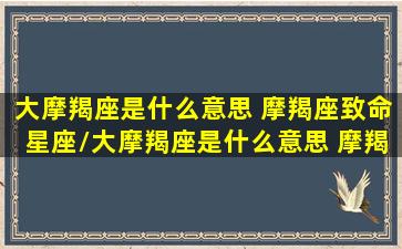 大摩羯座是什么意思 摩羯座致命星座/大摩羯座是什么意思 摩羯座致命星座-我的网站